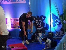 Haustiermesse am 1.03.2026